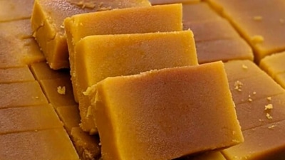 Mysore Pak: This is a famous South Indian sweet made of gram flour, sugar, ghee, and cardamom (optional) which is made on special occasions. (Instagram/@vegetariandilli)
