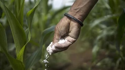 Mandaviya held a meeting with officials of the department of fertilisers to review the availability of fertilisers across the country. (Representative Photo)