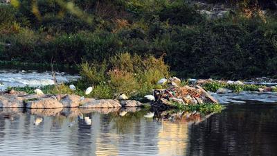 To rejuvenate the river, the proposed pollution-abatement-cum-river-rejuvenation project aims to stop the flow of untreated water into the Mula-Mutha rivers which also increases the growth of hyacinths, leading to serious environmental issues and mosquito menace. (HT PHOTO) To rejuvenate the river, the proposed pollution-abatement-cum-river-rejuvenation project aims to stop the flow of untreated water into the Mula-Mutha rivers which also increases the growth of hyacinths, leading to serious environmental issues and mosquito menace. (HT PHOTO)