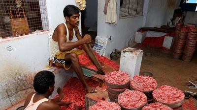 In 2020, just before a week before Diwali, seven states banned the sale and use of firecrackers (Mint) In 2020, just before a week before Diwali, seven states banned the sale and use of firecrackers (Mint)