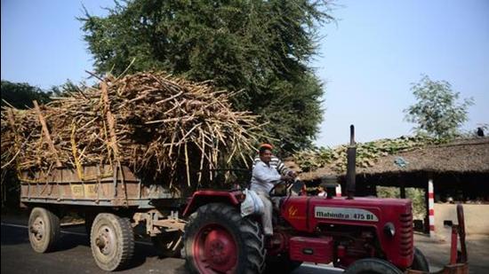 Punjab sugarcane SAP hike was RS 50 per quintal, taking it to <span class='webrupee'>₹</span>360; chief minister Charanjit Singh Channi has accepted to share 70% of the <span class='webrupee'>₹</span>50 increase. (HT FILE FOR REPRESENTATIVE PURPOSES ONLY)