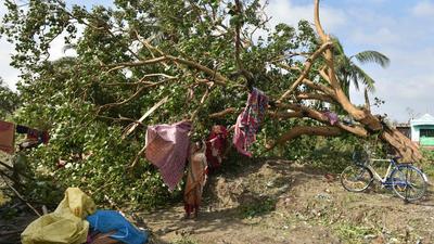 The increasing importance of adaptation strategies was also reiterated last week when the United Nations called on national governments to increase funds for climate adaptation (Samir Jana / Hindustan Times)