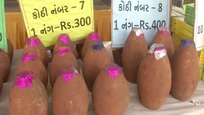 400-year-old method of making eco-friendly firecrackers with clay revived in Vadodara (ANI)