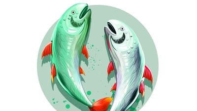 Pisces are people who, are easily hurt by people, so you need to keep yourself strong. Pisces are people who, are easily hurt by people, so you need to keep yourself strong.
