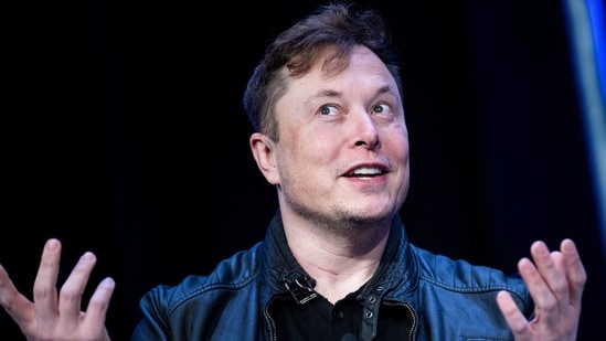 Elon Musk (File Photo/AFP)