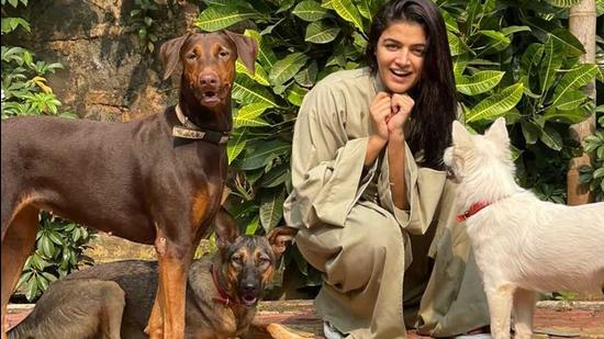 Wamiqa says, “Let’s make this a happy Diwali not just for you and me but for our animal friends too.”