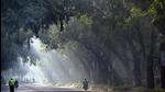 On November 2, the city recorded AQI in the very poor zone for the first time since the last 146 days. On November 3, the air stayed in the same zone, indicating it may worsen further. (Arvind Yadav/HT PHOTO) On November 2, the city recorded AQI in the very poor zone for the first time since the last 146 days. On November 3, the air stayed in the same zone, indicating it may worsen further. (Arvind Yadav/HT PHOTO)