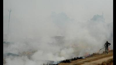 Paddy residue burning events in Punjab, Haryana, NCR districts of UP and Rajasthan and Delhi have come down from 43,918 in 2020 to 21,364 in 2021 during the period from September 15 to November 2.