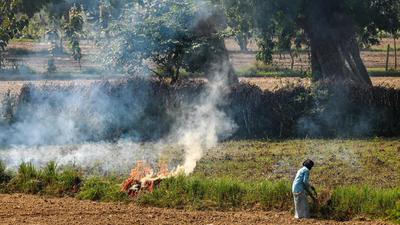 Between September 1 and November 2, over 18,747 and 4,842 farm fires were spotted in Punjab and Haryana. Yesterday (Tuesday) alone, more than 2,500 farm fires were reported in Punjab and Haryana. (AFP) Between September 1 and November 2, over 18,747 and 4,842 farm fires were spotted in Punjab and Haryana. Yesterday (Tuesday) alone, more than 2,500 farm fires were reported in Punjab and Haryana. (AFP)
