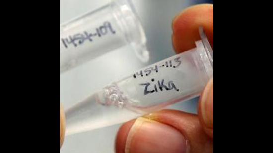 Twenty-five samples tested positive for Zika virus in Kanpur on Wednesday.