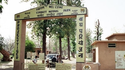 The Uttarakhand forest department has also asked the bureaucrat to probe the role of forest officials in felling of trees in Corbett. (HT_PRINT)