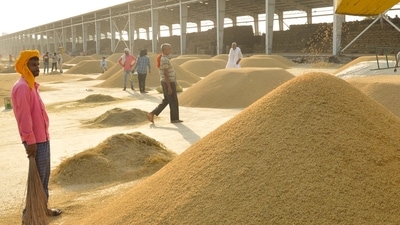 MSP is a benchmark rate that assures a minimum 50% profits over a narrower measure of cost of cultivation and farmers say any price below MSP meaning selling at a loss. (HT file photo) MSP is a benchmark rate that assures a minimum 50% profits over a narrower measure of cost of cultivation and farmers say any price below MSP meaning selling at a loss. (HT file photo)