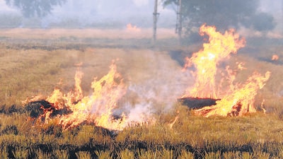 A total of 28,792 farm fires have been reported so far in Punjab this season. The pollution control board has decided to send expert teams to various parts of the state to issue challans to farmers for burning straw. (HT photo)