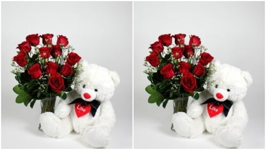 Nothing showers more love for your sister than a bunch of red roses and a soft toy.(https://in.pinterest.com/)