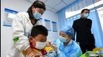 A child being vaccinated against the Covid-19 coronavirus at a primary school in Qingdao, in China's eastern Shandong province. (AFP) A child being vaccinated against the Covid-19 coronavirus at a primary school in Qingdao, in China's eastern Shandong province. (AFP)