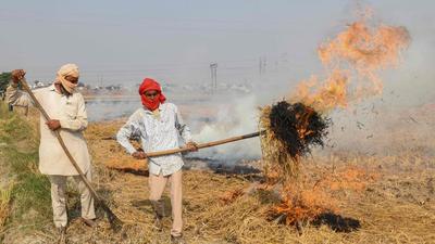 Punjab farm fires will see a spike later than previous seasons this year due to delayed paddy harvest, which has resulted due to untimely rain. (AFP) Punjab farm fires will see a spike later than previous seasons this year due to delayed paddy harvest, which has resulted due to untimely rain. (AFP)