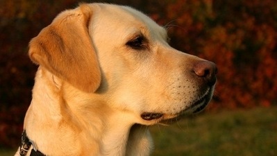 Representative Image Representative Image