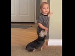 Puppy dog begs for this cute, distracted toddler's attention. (instagram/@thedougiestagram) Puppy dog begs for this cute, distracted toddler's attention. (instagram/@thedougiestagram)