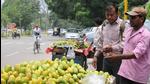 Around 3,500 street vendors recognised as essential service providers and 1,140 mobile vendors are not eligible for the vending fee exemption. (HT File Photo) Around 3,500 street vendors recognised as essential service providers and 1,140 mobile vendors are not eligible for the vending fee exemption. (HT File Photo)