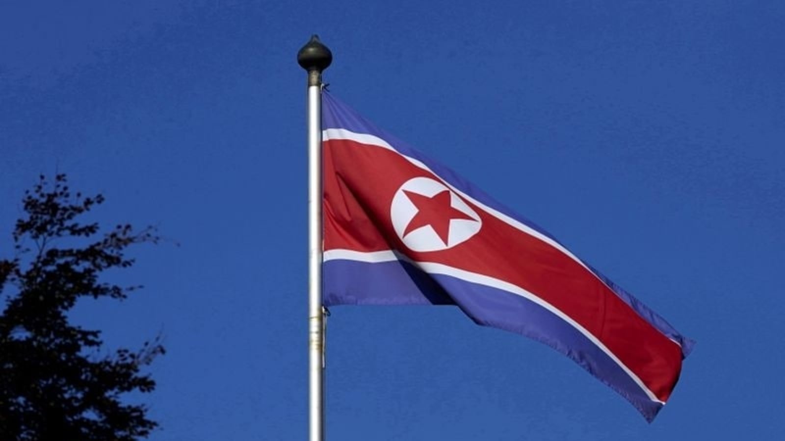 북한 기계화군, 포병 사격 훈련 실시 |  세계 뉴스