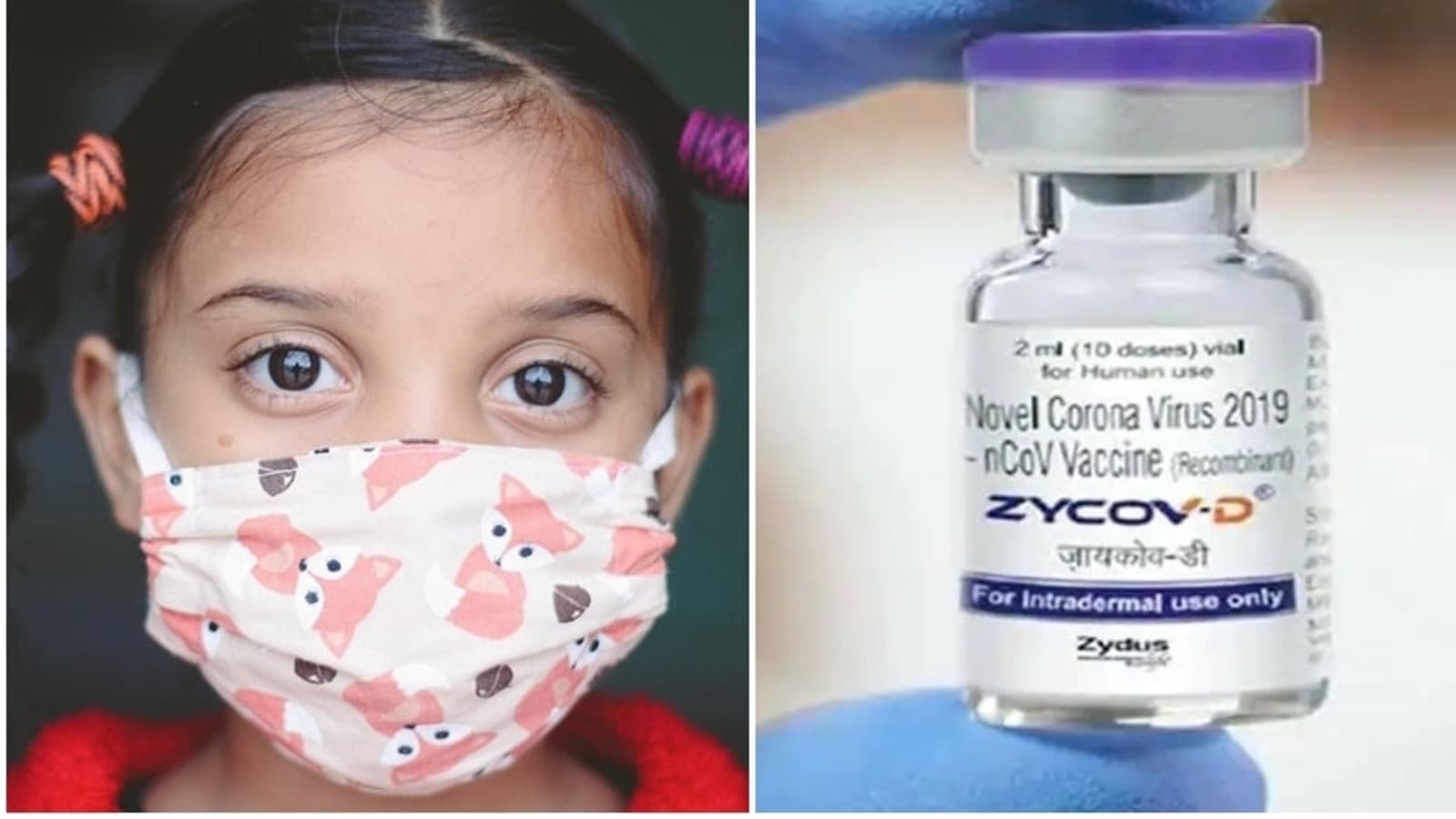 Govt to buy one crore doses of Zydus Cadila's needle-free Covid-19 | Latest  News India - Hindustan Times