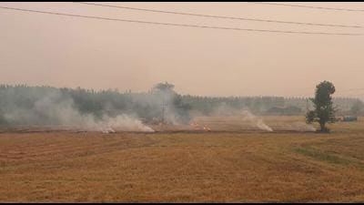 Stubble burning spotted at a field in Ladhowal area of Ludhiana on Sunday. As per the national agency tracking air quality, the particulate matter (PM) 2.5, which directly affects the lungs, remained the prominent pollutant (HT Photo)