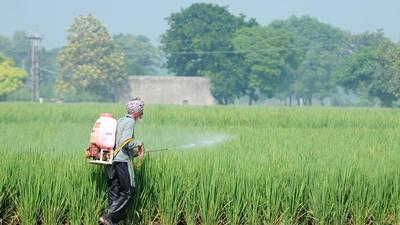 AAP leaders allege that the DAP fertiliser shortage is not natural and has been created due to black marketing. (HT File)