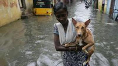 People in Chennai waded through knee deep water that had entered homes following the heavy downpour. (REUTERS Photo/File)