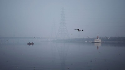The water supply in Delhi is likely to get hit due to an increase in ammonia pollution in the Yamuna river impacting several water treatment plants.&nbsp; (File Photo / REUTERS)