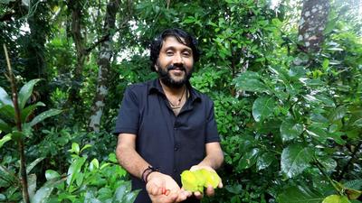 Dr Hari Muraleedharan poses with Carambola fruit, also known as star fruit or 5 fingers, at his fruit farm in Kottarakkara, Kollam district in Kerala on Sunday. (Vivek Nair/HT Photo) Dr Hari Muraleedharan poses with Carambola fruit, also known as star fruit or 5 fingers, at his fruit farm in Kottarakkara, Kollam district in Kerala on Sunday. (Vivek Nair/HT Photo)