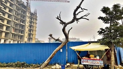 This entire setting is the backdrop of Piyush Chhole kulche cart. This entire setting is the backdrop of Piyush Chhole kulche cart.