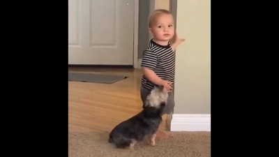 Puppy dog begs for this cute, distracted toddler's attention.&nbsp; (instagram/@thedougiestagram)