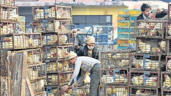 Located adjacent to the Ghazipur Murga Mandi and Fish market, the Ghazipur abattoir is run by the East Delhi Municipal Corporation. (Raj K Raj/HT Archive)