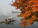 A boatman rows his shikara past a chinar tree during the autumn season, at Dal lake, in Srinagar. A boatman rows his shikara past a chinar tree during the autumn season, at Dal lake, in Srinagar. 
