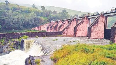 A major row erupted after Kerala government issued an order to allow Tamil Nadu to cut trees near the Baby dam in Mullaperiyar reservoir, which was later revoked. (ANI) A major row erupted after Kerala government issued an order to allow Tamil Nadu to cut trees near the Baby dam in Mullaperiyar reservoir, which was later revoked. (ANI)