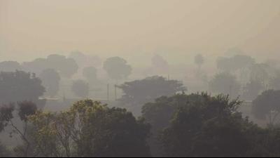 Environmentalists said that despite the efforts of different agencies, pollution levels failed to decline during the Diwali festival. (Sakib Ali/HT Photo) Environmentalists said that despite the efforts of different agencies, pollution levels failed to decline during the Diwali festival. (Sakib Ali/HT Photo)