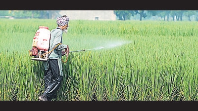 The agriculture department, Mohali, on Monday seized 240 litres of banned pesticides from a Zirakpur shop. (HT File Photo/ Representational image) The agriculture department, Mohali, on Monday seized 240 litres of banned pesticides from a Zirakpur shop. (HT File Photo/ Representational image)