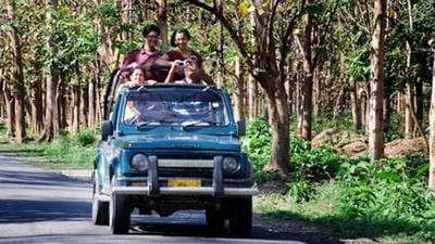 Tourists are seen during a jungle safari at Corbett Tiger Reserve in Ramnagar, Uttarakhand. IFS officer Sanjiv Chaturvedi said he cannot conduct the investigation into allegations of illegal activities at the reserve. (HT photo/ File) Tourists are seen during a jungle safari at Corbett Tiger Reserve in Ramnagar, Uttarakhand. IFS officer Sanjiv Chaturvedi said he cannot conduct the investigation into allegations of illegal activities at the reserve. (HT photo/ File)