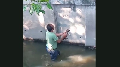 This man gets into a canal to save a drowning stray puppy.&nbsp; (Jukin Media)