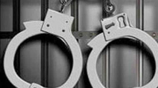 Two persons duped an elderly woman of gold jewellery at Sector 49 in Chandigarh. (HP File Photo/ Representational image)