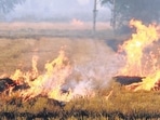 Punjab farm fires spike has resulted due to the delay in paddy harvest, with 10,000 cases in two days; the Malwa belt has been worst-hit. (HT FILE ) Punjab farm fires spike has resulted due to the delay in paddy harvest, with 10,000 cases in two days; the Malwa belt has been worst-hit. (HT FILE )