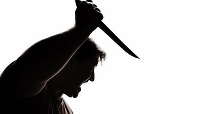 Is violent behaviour tied to genetics? Can someone argue that their genes made them commit a crime? (Shutterstock)