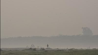 Noida, India - November 10, 2021: A view of a field blanketed in smog amid rising air pollution, in Noida, India, on Wednesday, November 10, 2021. (Photo by Sunil Ghosh / Hindustan Times) Noida, India - November 10, 2021: A view of a field blanketed in smog amid rising air pollution, in Noida, India, on Wednesday, November 10, 2021. (Photo by Sunil Ghosh / Hindustan Times)