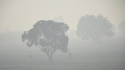 Ghaziabad, India - November 08, 2021: A view of a farm land engulfed in smog at Kusalia in Ghaziabad on Monday, November 8, 2021. (Photo by Sakib Ali/Hindustan Times) Ghaziabad, India - November 08, 2021: A view of a farm land engulfed in smog at Kusalia in Ghaziabad on Monday, November 8, 2021. (Photo by Sakib Ali/Hindustan Times)