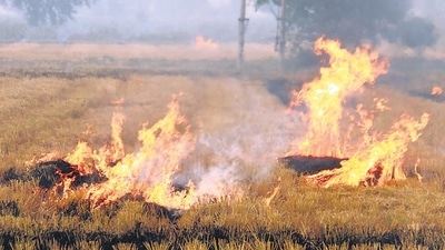 Punjab farm fires spike has resulted due to the delay in paddy harvest, with 10,000 cases in two days; the Malwa belt has been worst-hit. (HT FILE ) Punjab farm fires spike has resulted due to the delay in paddy harvest, with 10,000 cases in two days; the Malwa belt has been worst-hit. (HT FILE )