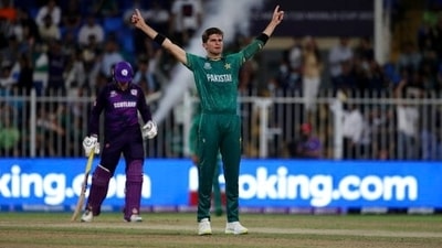 Pakistan's Shaheen Afridi celebrates the dismissal of Scotland's Michael Leask during the Cricket Twenty20 World Cup match (AP) Pakistan's Shaheen Afridi celebrates the dismissal of Scotland's Michael Leask during the Cricket Twenty20 World Cup match (AP)