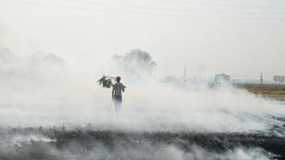 Stubble burning in Punjab remains a major issue, with the delayed paddy harvest contributing to the recent concentration of cases; state government has gone easy with elections three months away. (HT FILE) Stubble burning in Punjab remains a major issue, with the delayed paddy harvest contributing to the recent concentration of cases; state government has gone easy with elections three months away. (HT FILE)