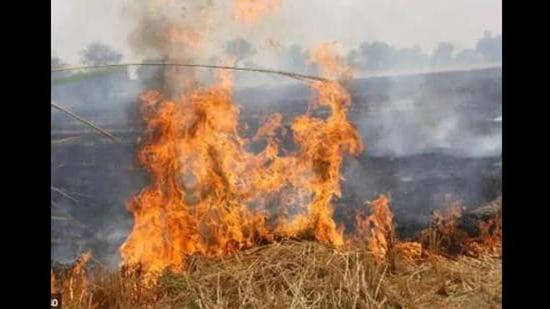 No FIR has been lodged against farmers for stubble burning in Uttar Pradesh this harvest season. (REPRESENTATIVE IMAGE )