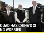How QUAD has China's Xi Jinping worried