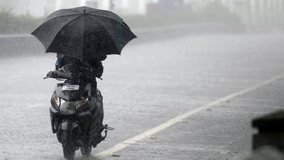 A motorist shelters under an umbrella while riding along a road during heavy rainfall in Chennai on Wednesday. The rainfall was sparked by a depression in the Bay of Bengal. (AFP) A motorist shelters under an umbrella while riding along a road during heavy rainfall in Chennai on Wednesday. The rainfall was sparked by a depression in the Bay of Bengal. (AFP)
